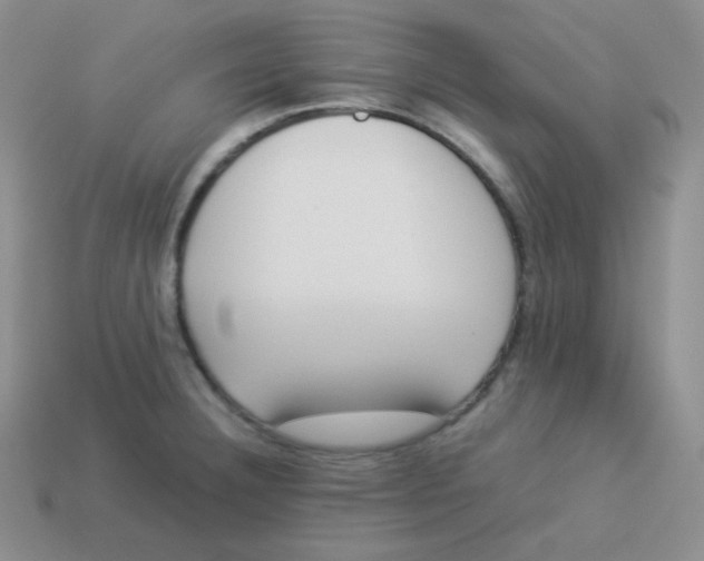 X0000113911332200910151409