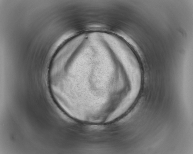 X0000113911333200910151409