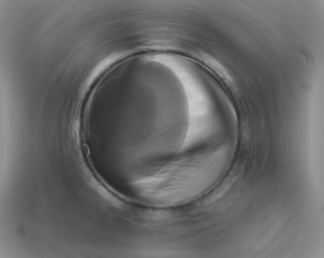 X0000113911334200910151409