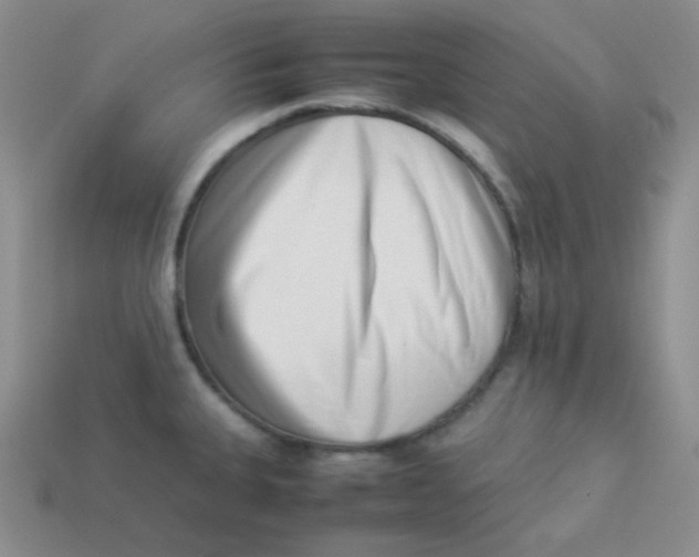 X0000113911335200910151409