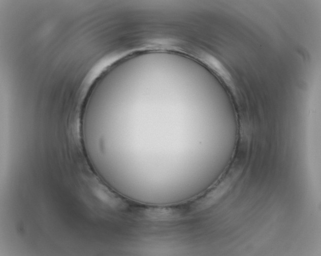 X0000113911336200910151409