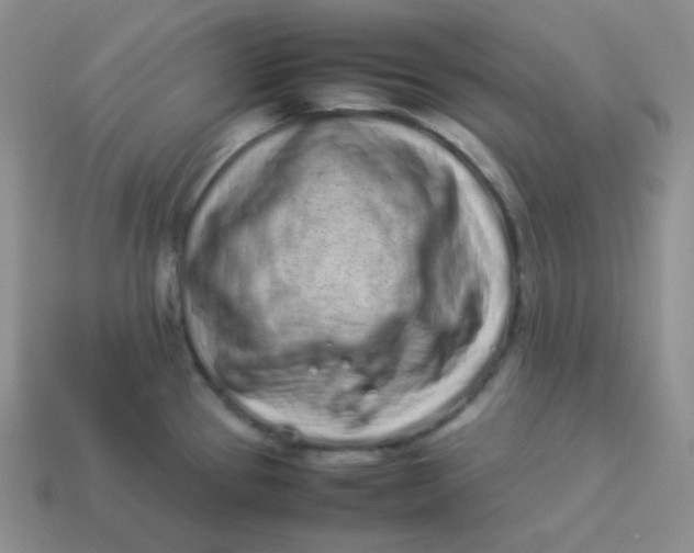 X0000113911337200910151409