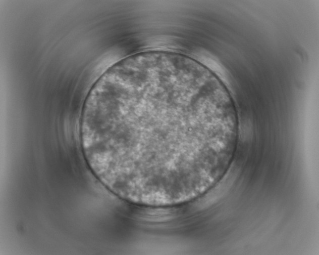 X0000113911338200910151409