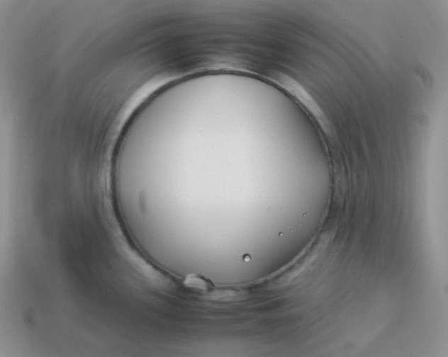 X0000113911339200910151409