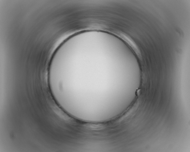 X0000113911340200910151409