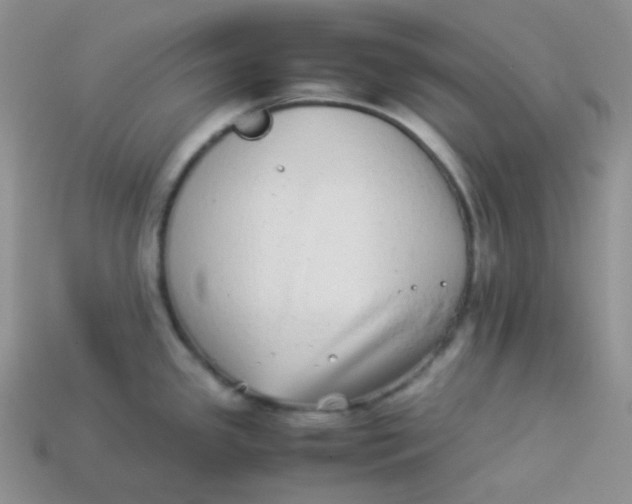 X0000113911341200910151409