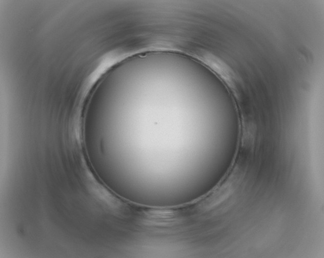 X0000113911342200910151409