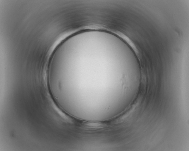 X0000113911343200910151409