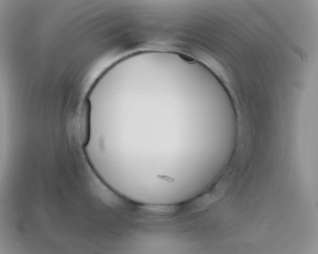 X0000113911344200910151410