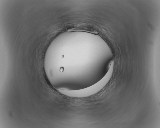 X0000113911345200910151409