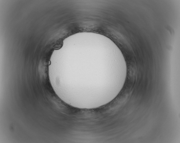 X0000113911346200910151409