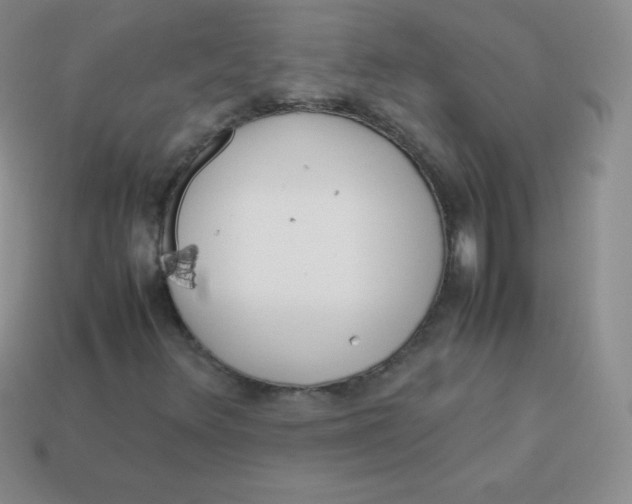 X0000113911348200910151409