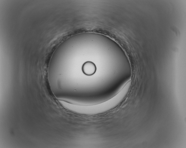 X0000113911349200910151409