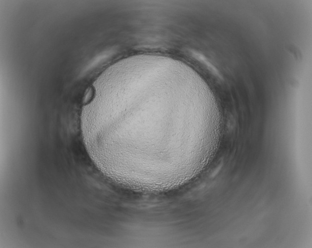 X0000113911350200910151409