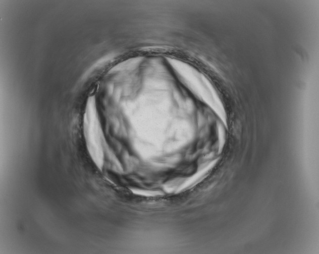 X0000113911351200910151409