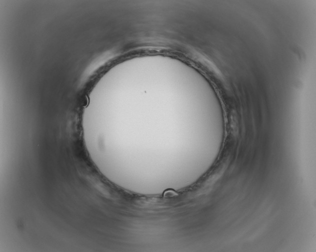 X0000113911352200910151409