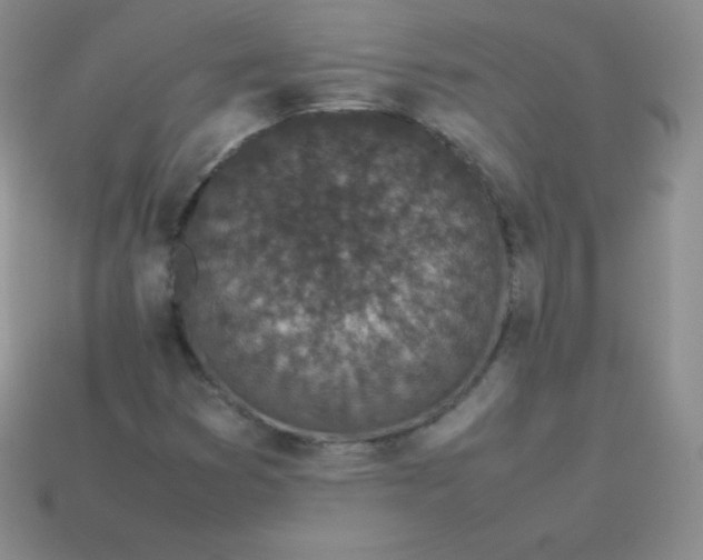 X0000113911353200910151409