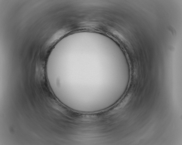 X0000113911354200910151409