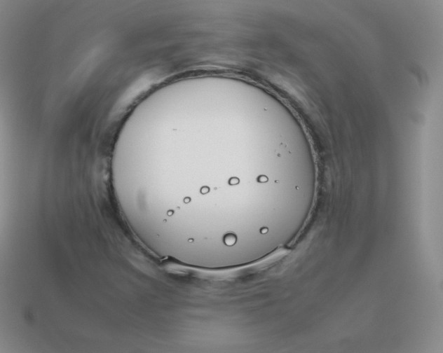 X0000113911355200910151409