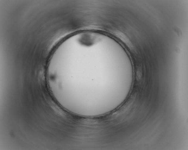 X0000113911356200910151409