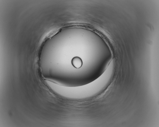 X0000113911357200910151409