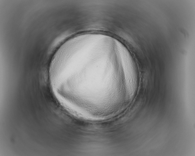 X0000113911358200910151409