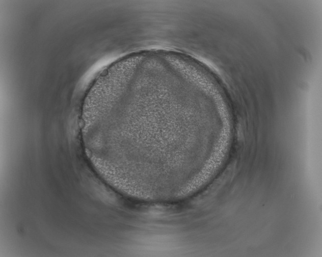 X0000113911359200910151409