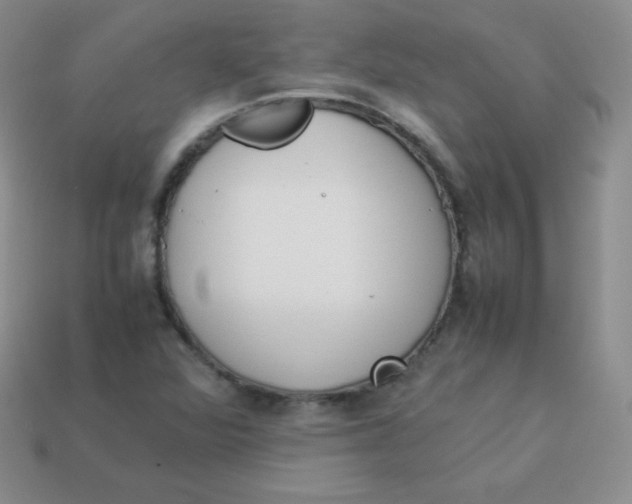 X0000113911360200910151409