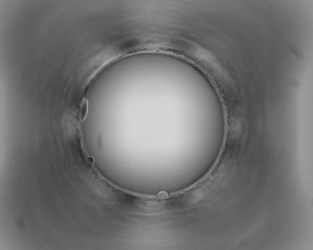 X0000113911361200910151409