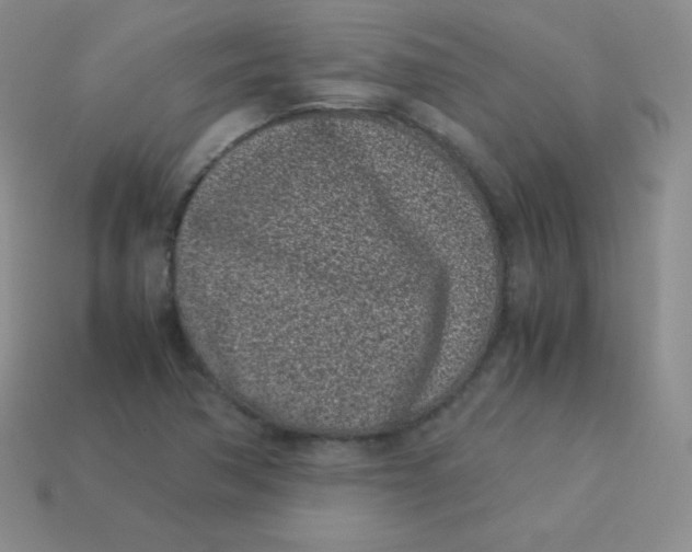 X0000113911362200910151409