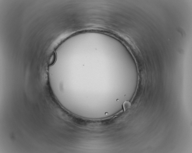 X0000113911363200910151409