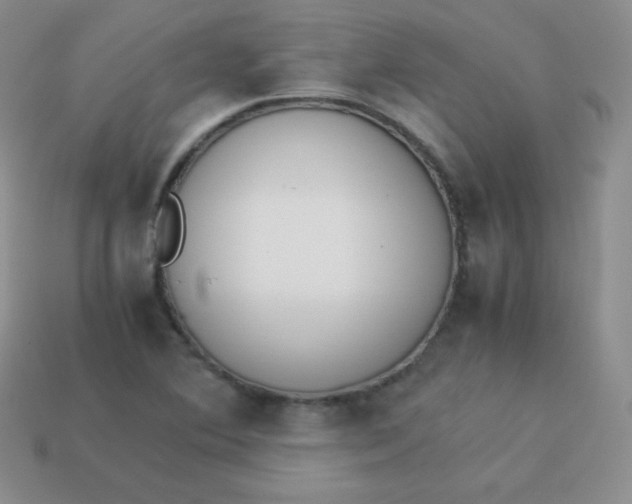 X0000113911364200910151409