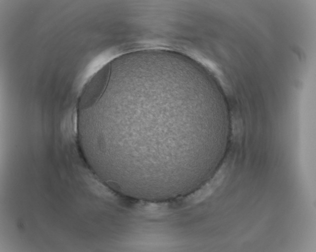 X0000113911365200910151409