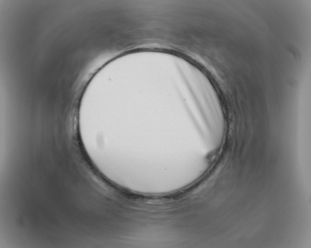 X0000113911367200910151409