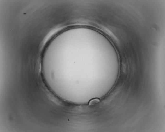 X0000113911368200910151409