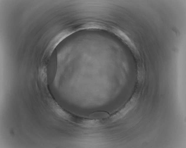 X0000113911369200910151409