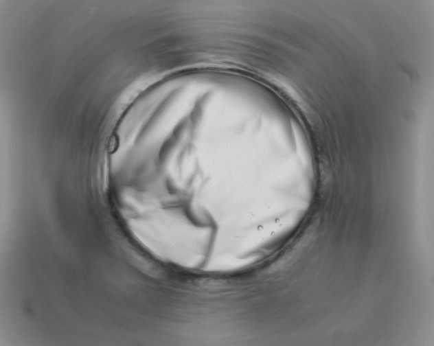 X0000113911371200910151409