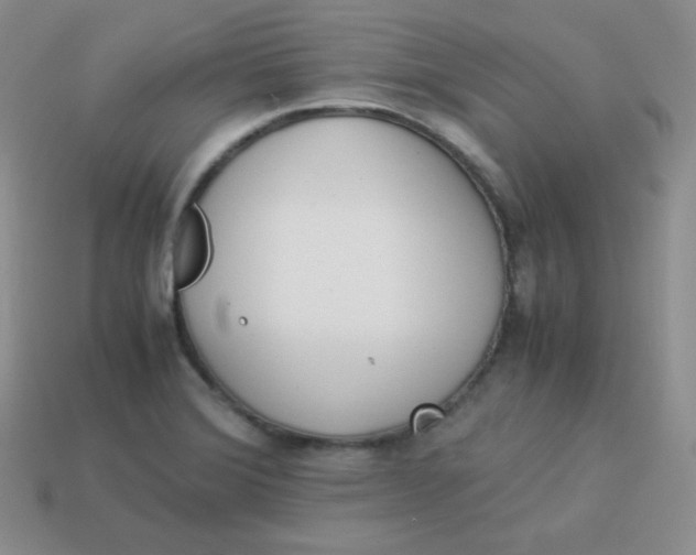 X0000113911372200910151409