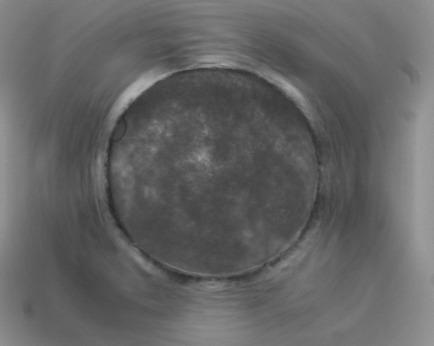 X0000113911373200910151409