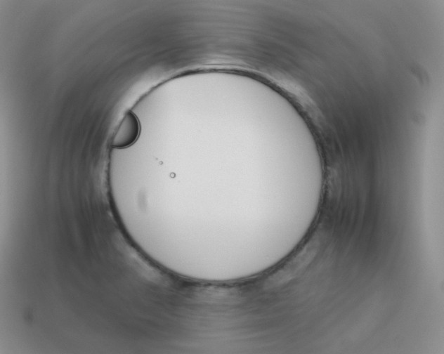 X0000113911374200910151409