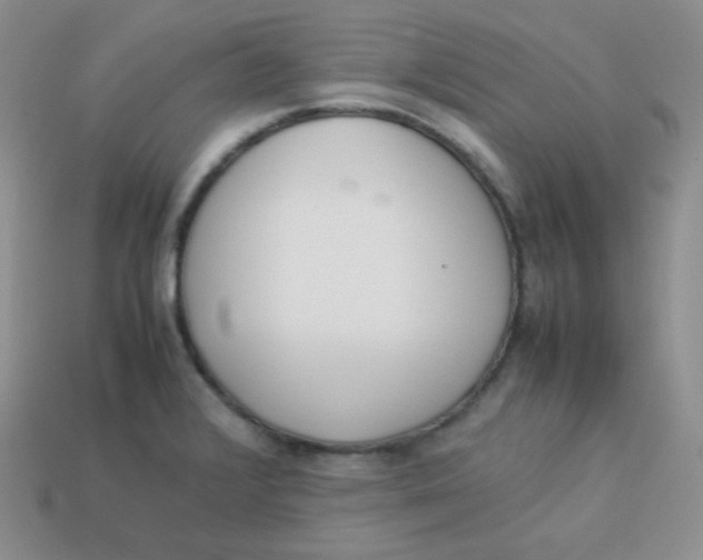 X0000113911376200910151409