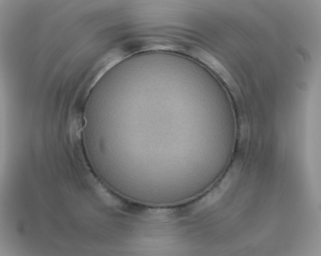 X0000113911377200910151408