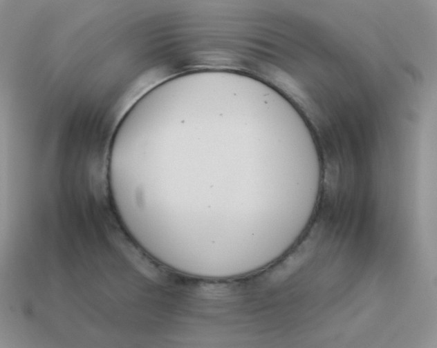 X0000113911378200910151408