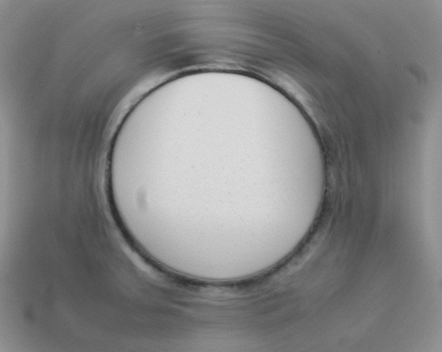 X0000113911379200910151408