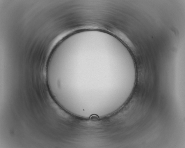 X0000113911380200910151408