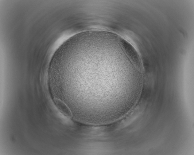 X0000113911381200910151408