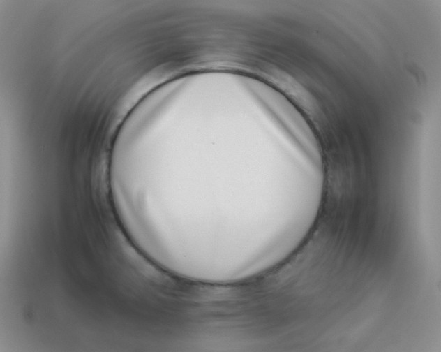 X0000113911382200910151408