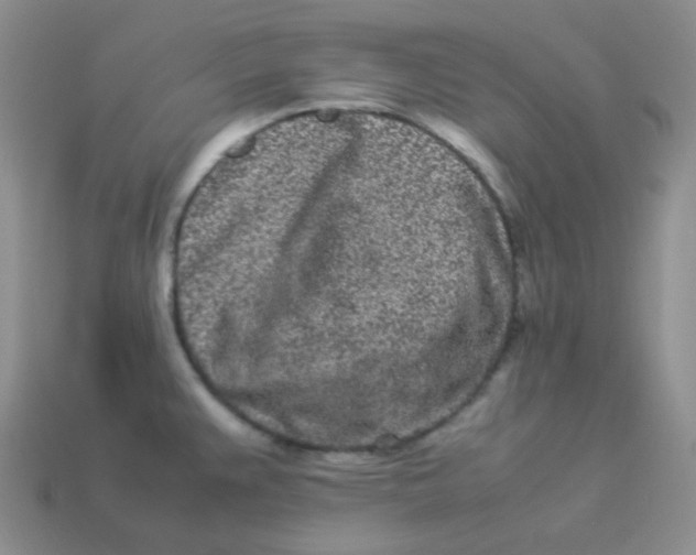 X0000113911383200910151408