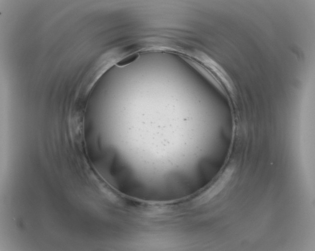 X0000113911385200910151408