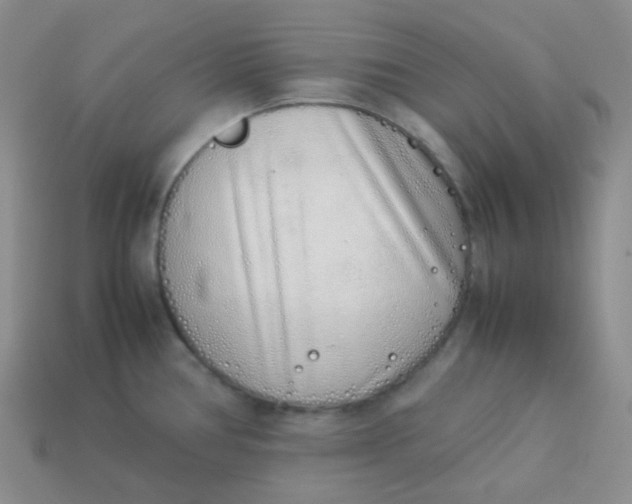 X0000113911386200910151408